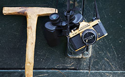 金色相机 各种特殊版本的镀金相机